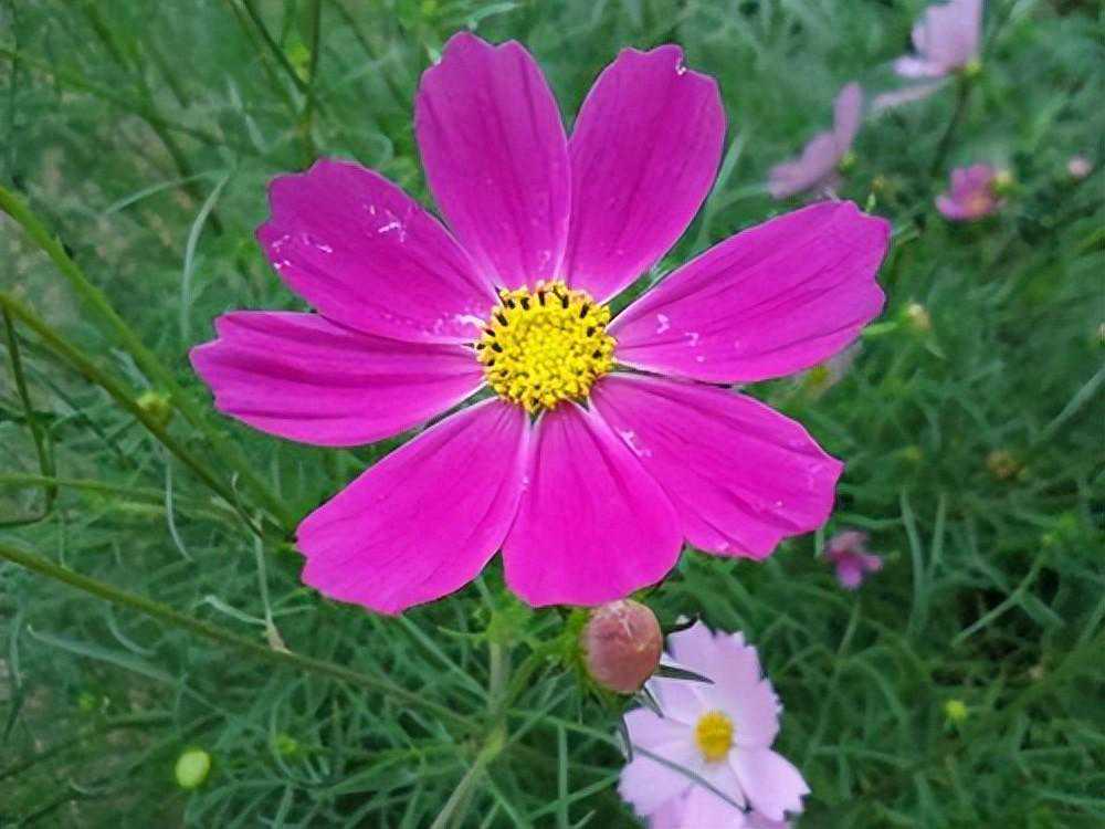 爱情里，女人想要的，从来都不是钱，而是:一样东西