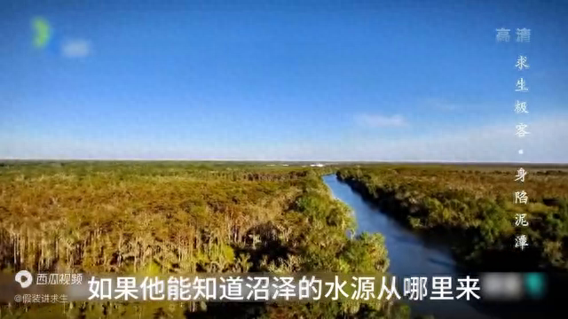 荒野求生智慧王#野外生存