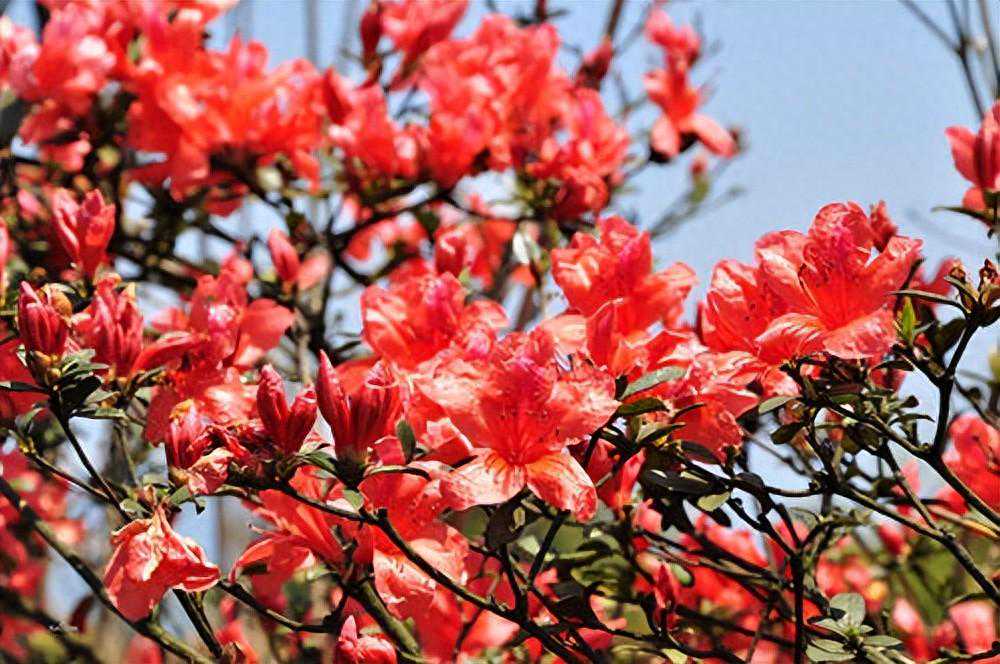 男人心里有你，会常对你说3句话，是真的动心了