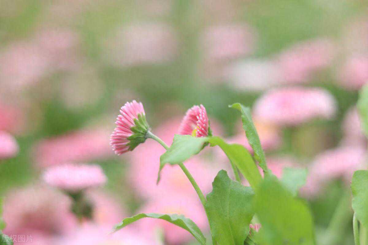 男人需要的不是你的嘘寒问暖，满足不了这2个字，他不会爱你