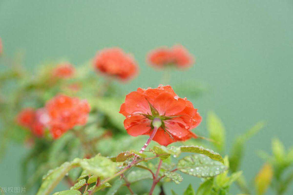 男人为你做过这些事，是真的很喜欢你，别错过，好好爱他