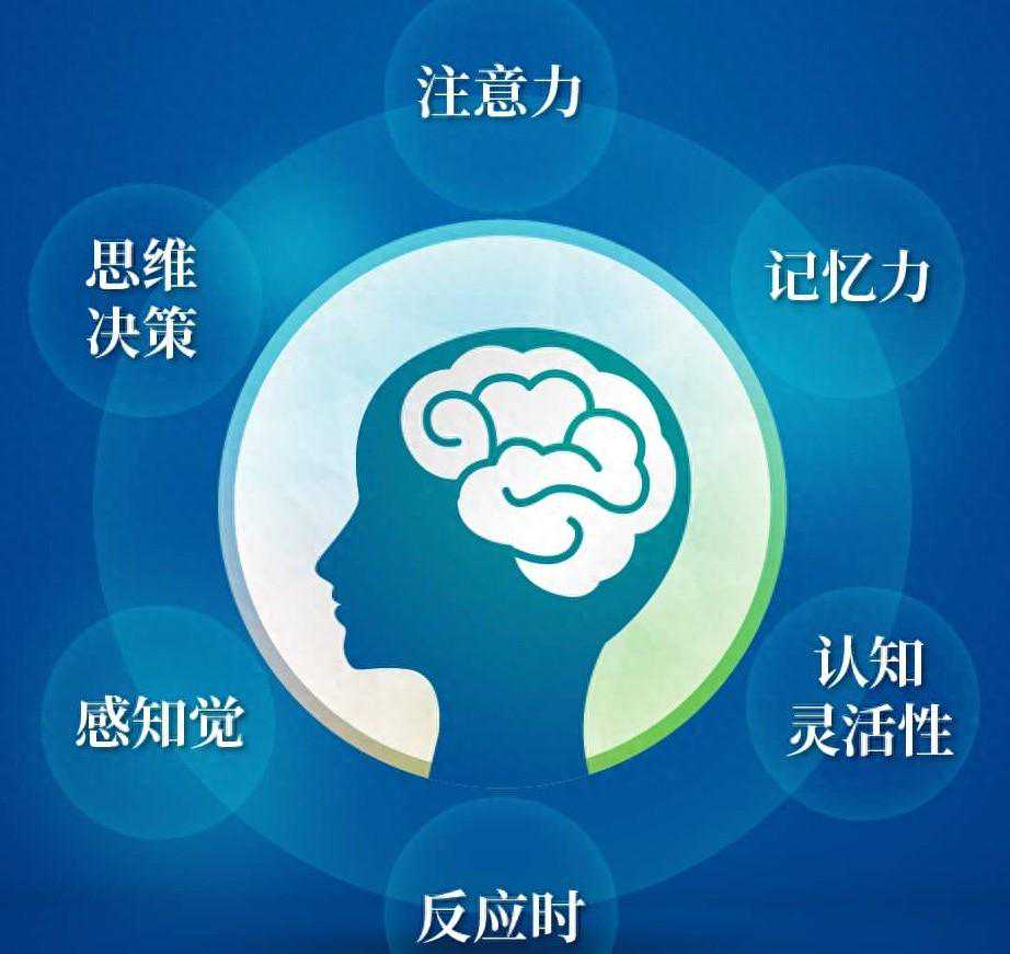 全球狂热！智力球玩具席卷思维挑战