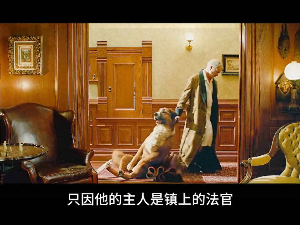 狗狗的忠诚，有时候远超过人类 #狗是人类最忠诚的朋友