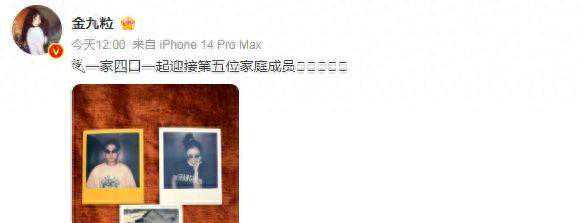 金靖官宣怀孕，神秘导演老公揭开面纱，四口之家将迎新篇章