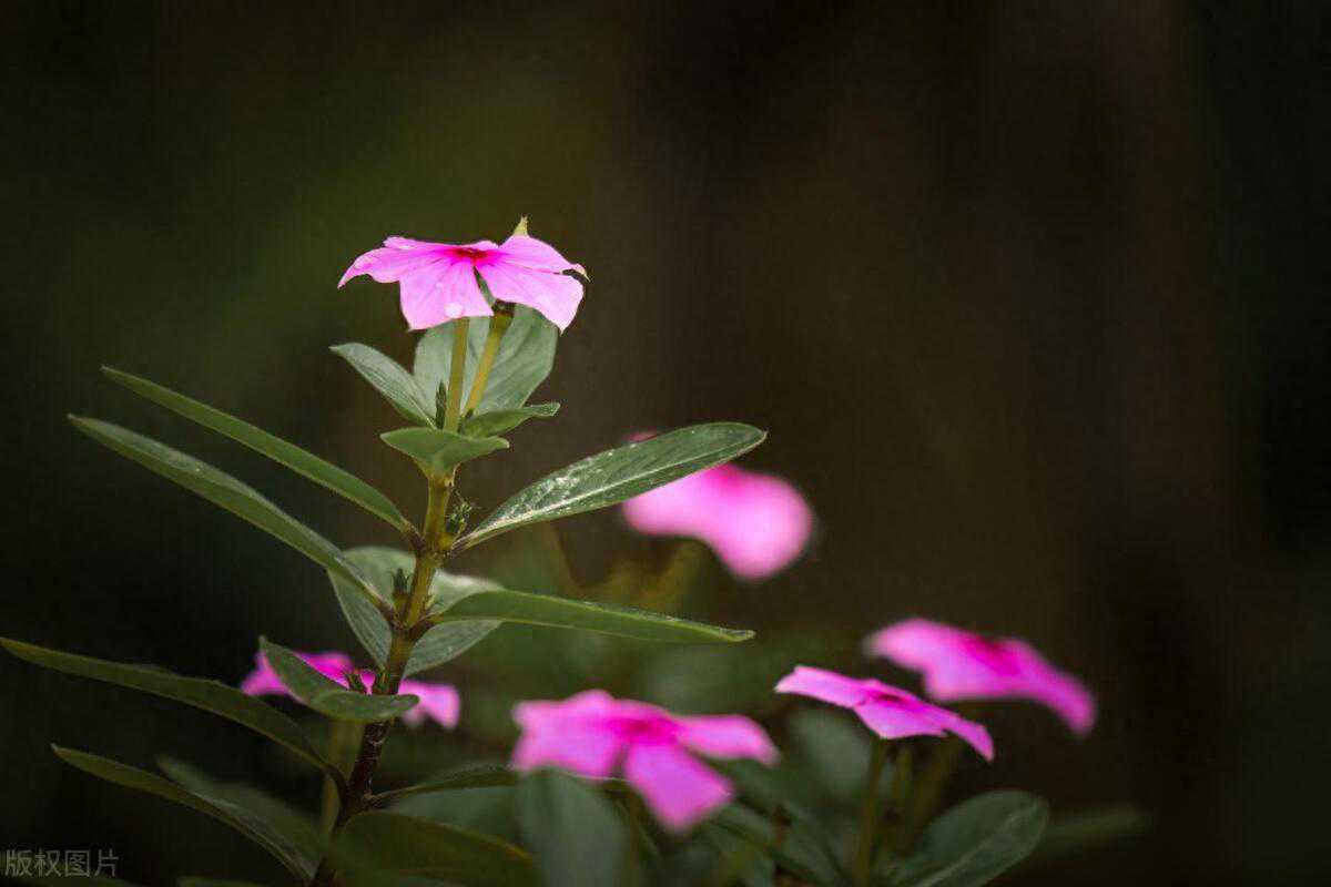 异性是不是你的正缘:两个字