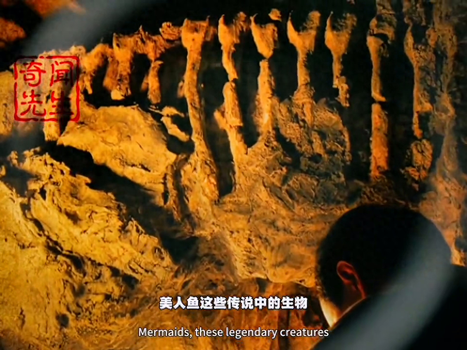 美人鱼真身揭秘神秘生物是否存在？@DOU+上热门
