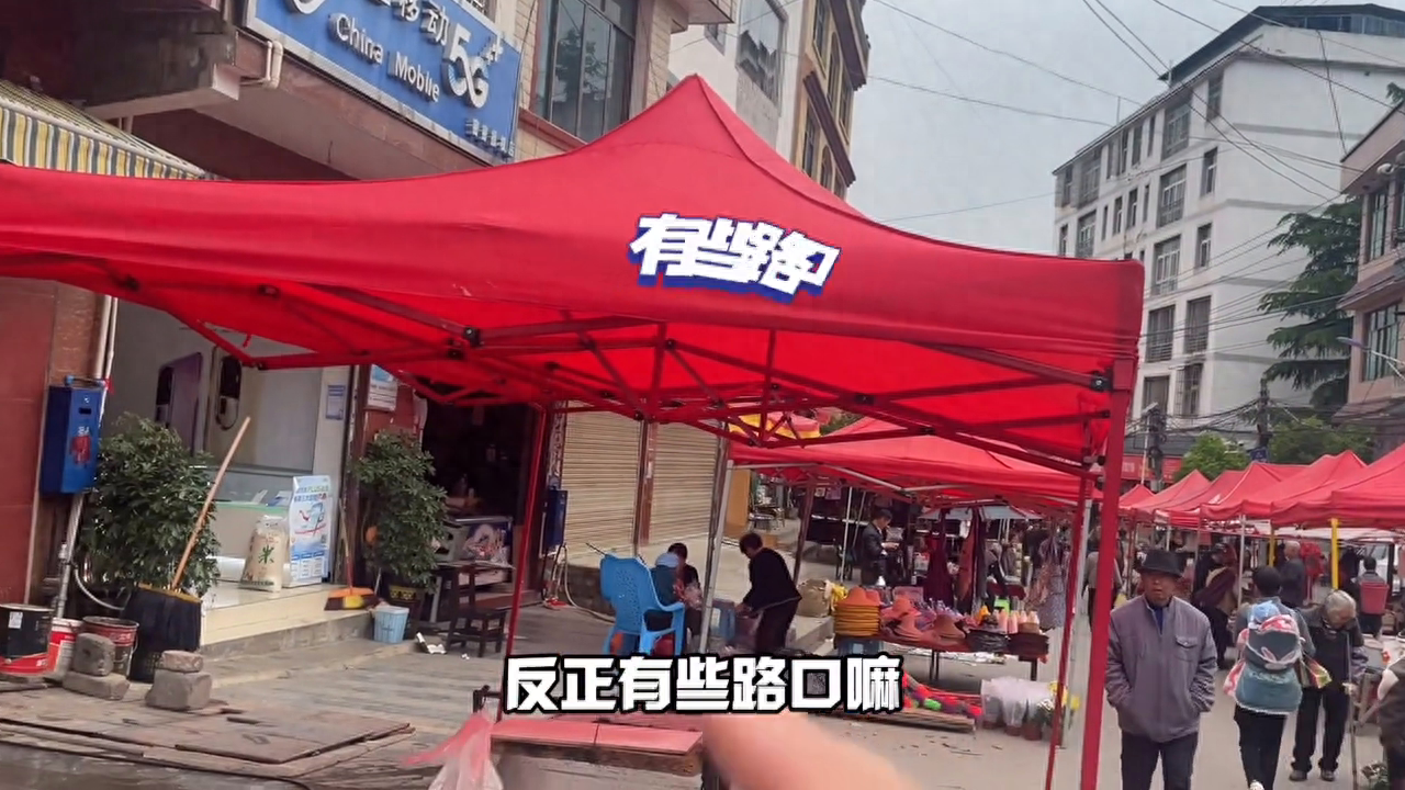 大用镇每个星期五赶集，人不多，一条主街好干集，喇叭小，安静