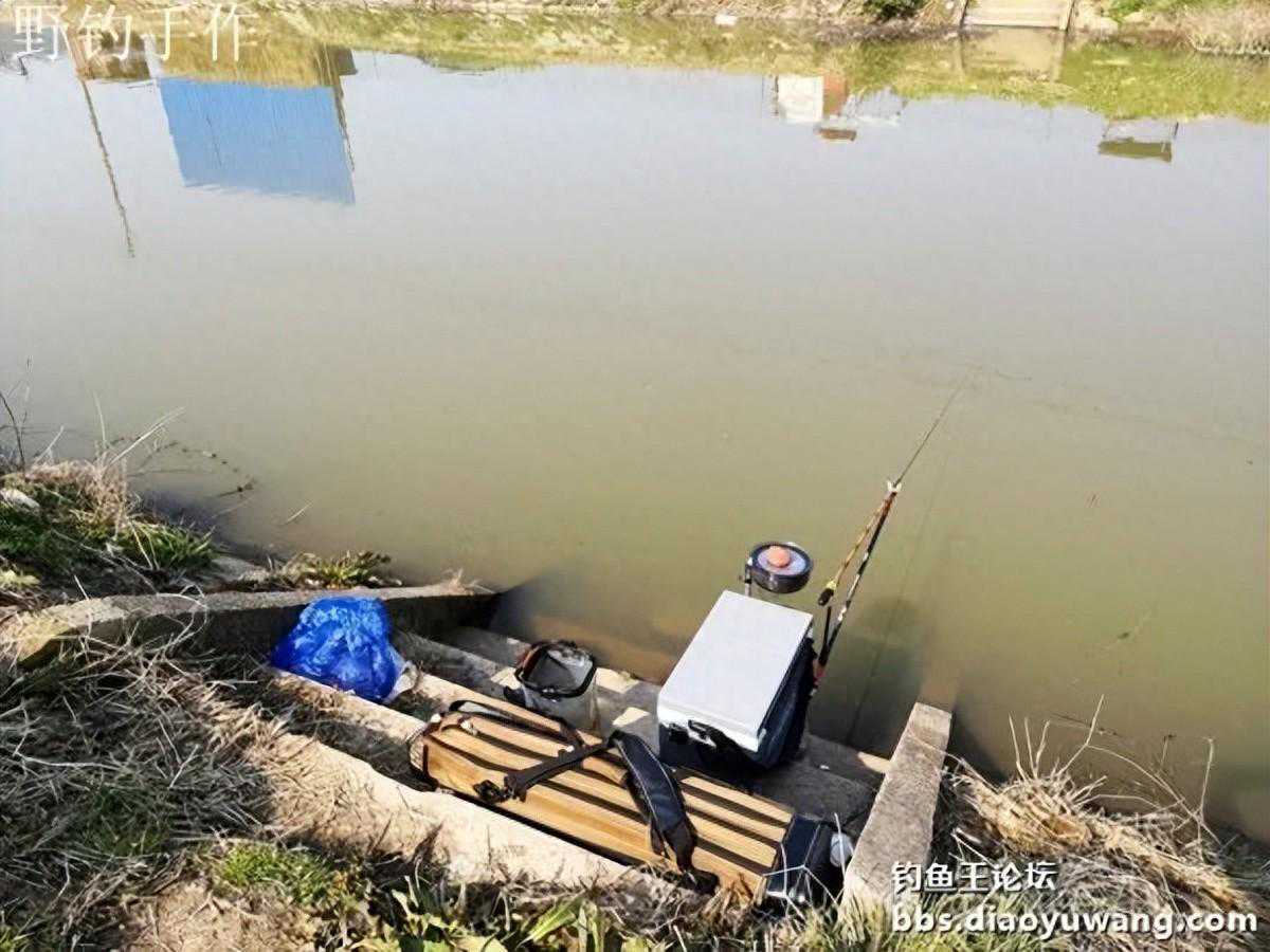 地狱猫一场两迁助力野钓爽