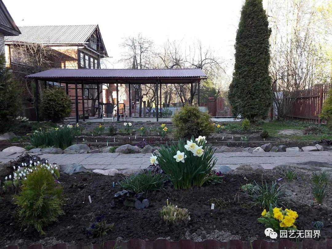 花园季相趣味——感受花园的季节性变化是园艺种植的乐趣之一