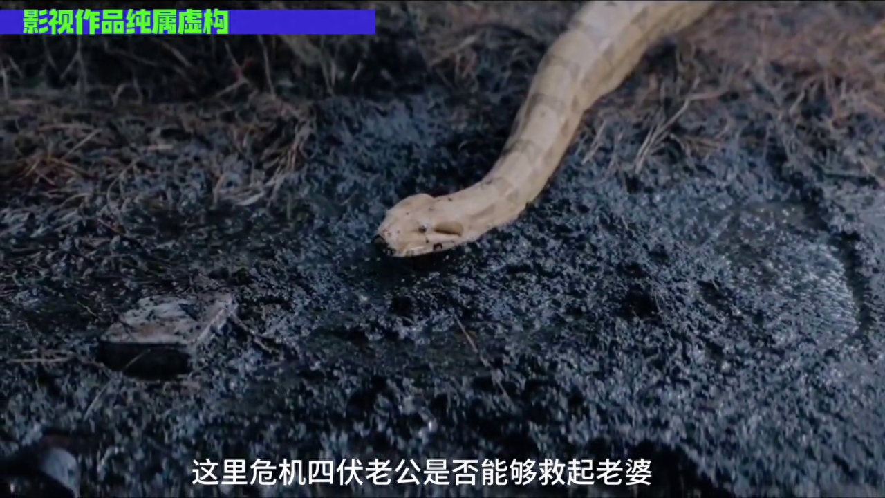 女人被困沼泽/惊险求生/#越看越上头的剧