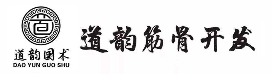 从传统武学中的起如挑担与落如分砖解读古谱“起落二字一命亡”