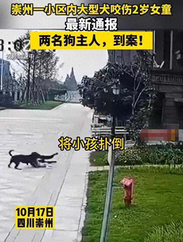 毁灭禁忌：人类的黑暗边界！