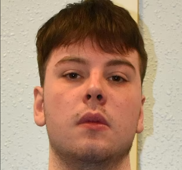 被判入狱！英国19岁男孩在网上传播炸弹制作手册，还私藏纳粹纪念品