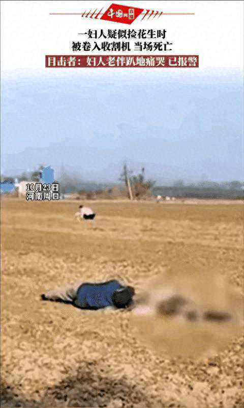 “花生大战！机器VS人类，谁能捡到最多？”