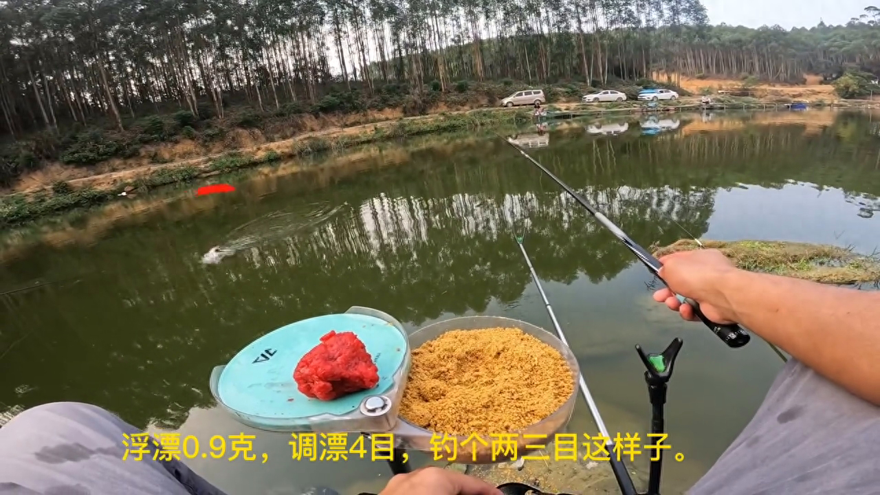 钓鲫鱼偶遇战斗机冲发发！#2023dou来钓鱼