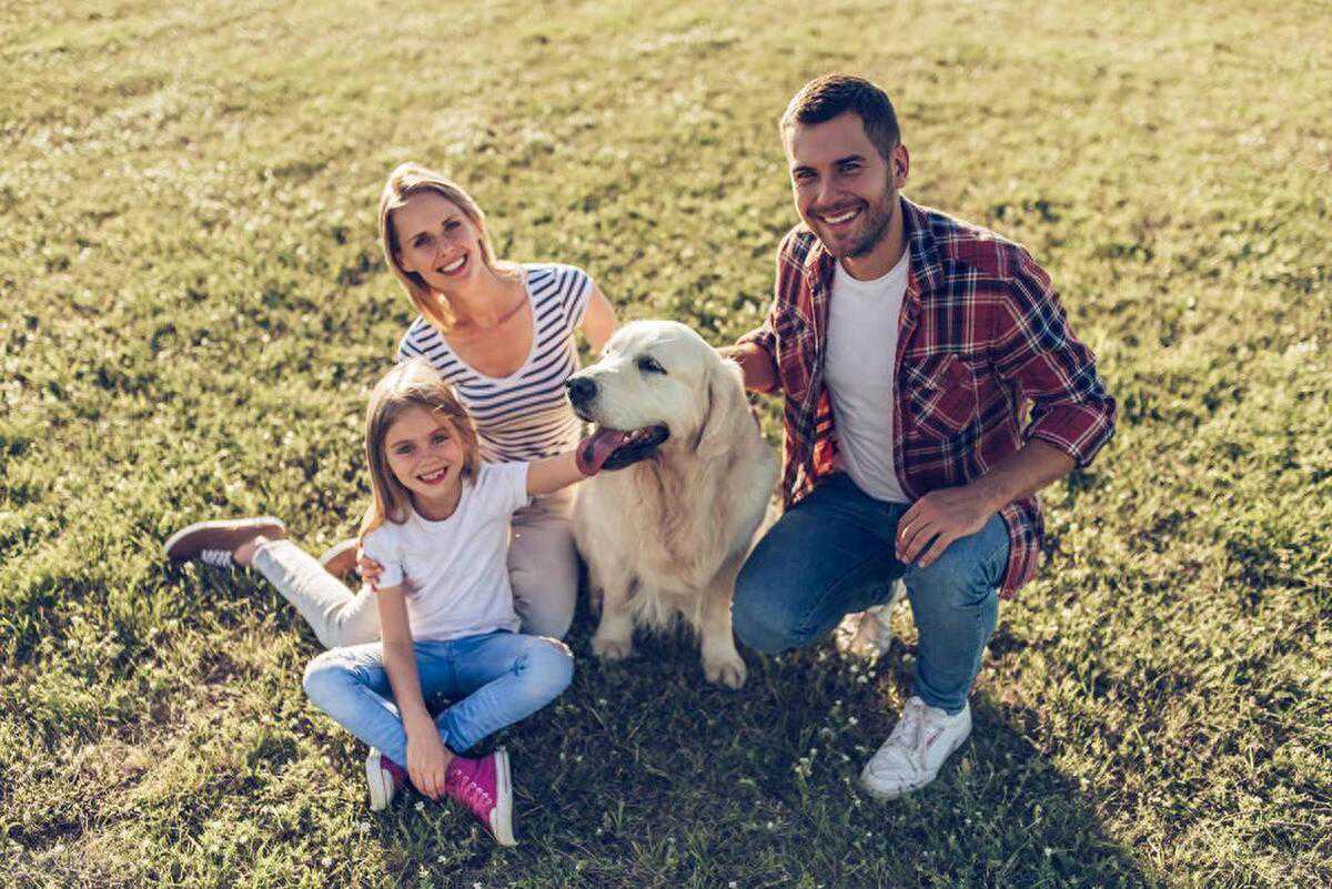 宠物照顾全攻略：让你的宠物健康快乐