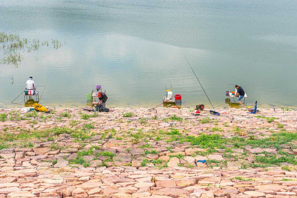 微小说：海边钓鱼的情缘