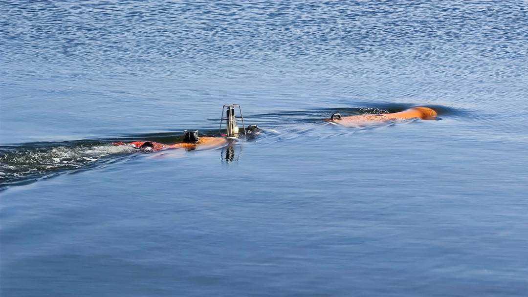 科技前沿｜小小“鱼雷”助力深海考古