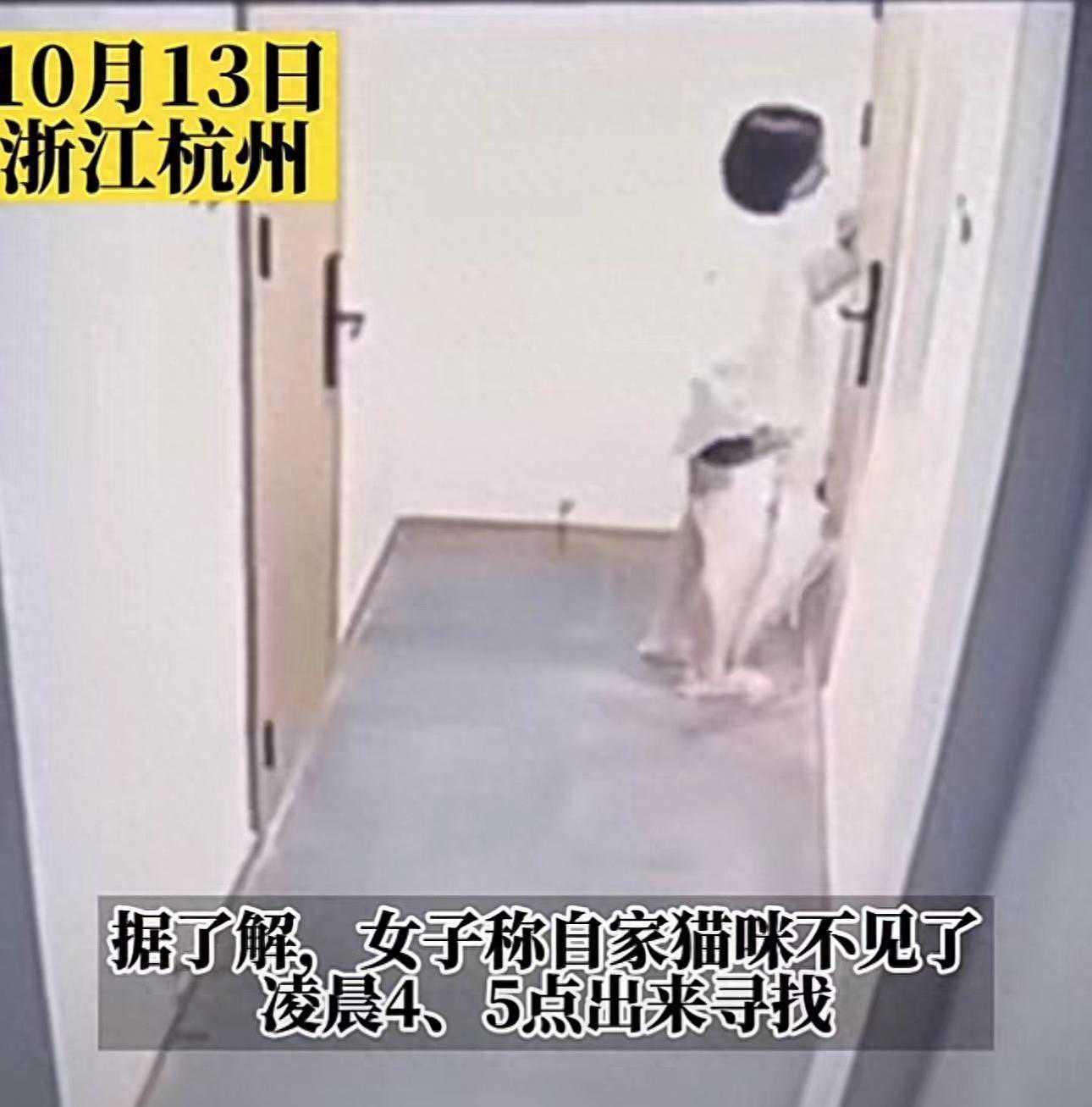 深夜追猫女子落泪，陌生男子目睹全程！