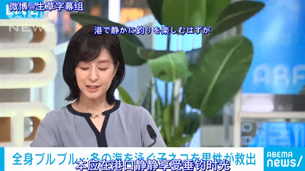 【中日双语】岛国钓鱼佬海边钓鱼却钓到了一只小奶猫