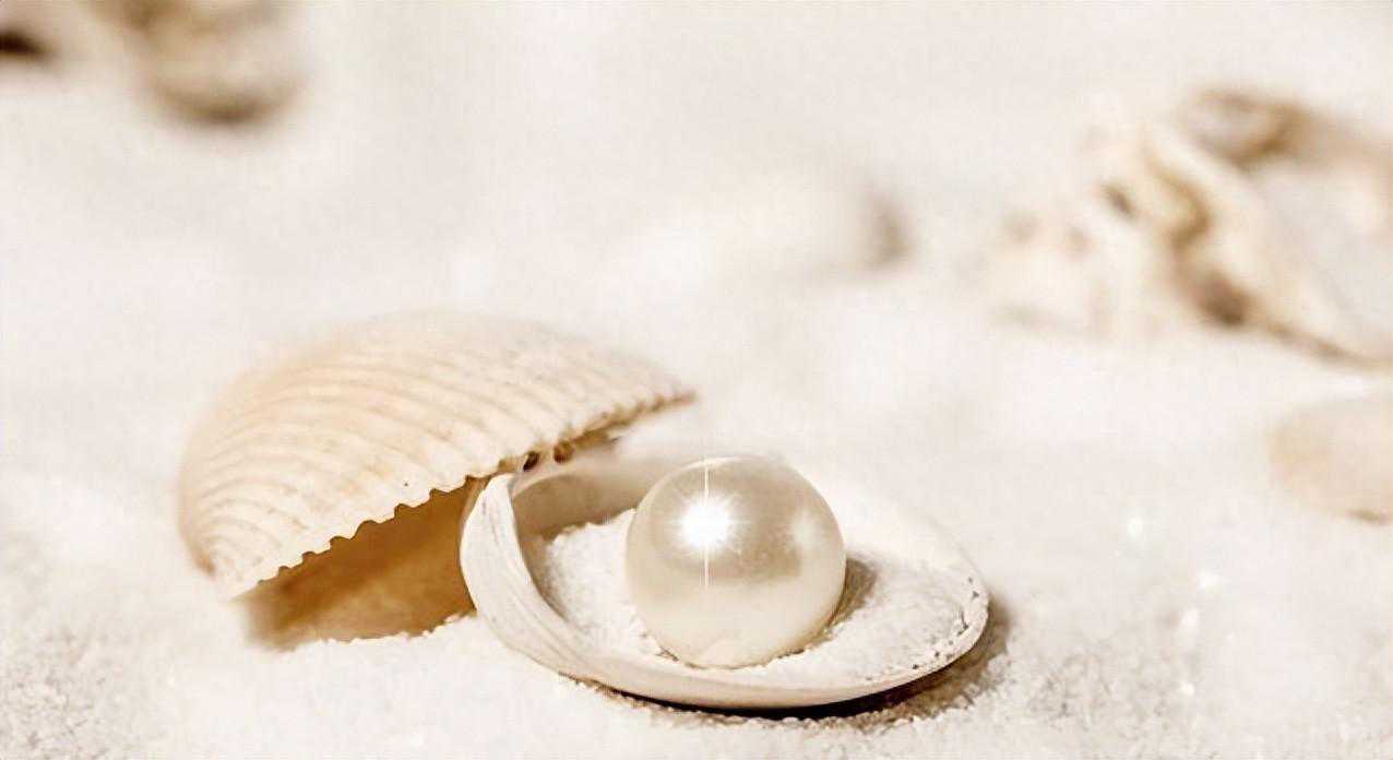 深海寻宝逆袭！摸金三人组揭秘南海神藏，书写传奇