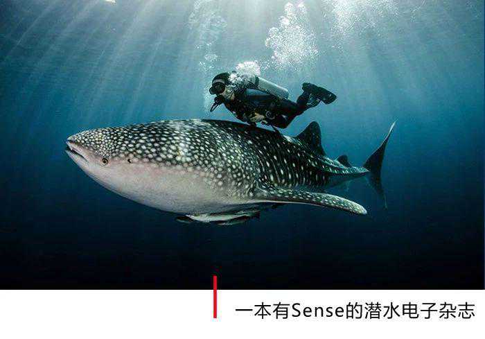 海洋十大“清洁工”，你知道多少?