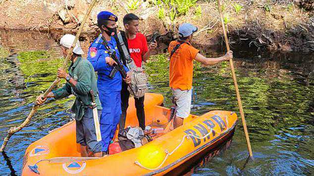 印尼一名男子在河里洗澡被鳄鱼袭击 尸体仍未找到