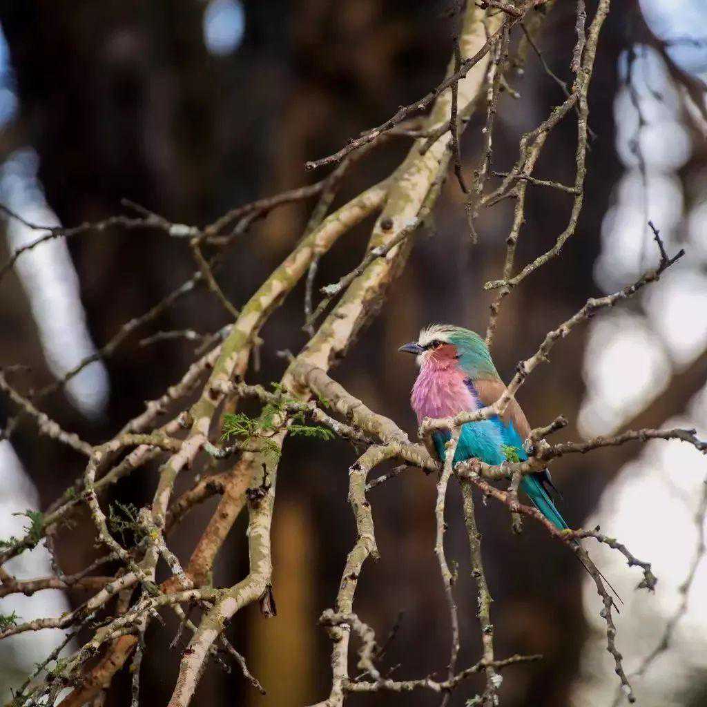 《死神来了》游戏详细分析，这种呆萌像素游戏到底好玩吗？