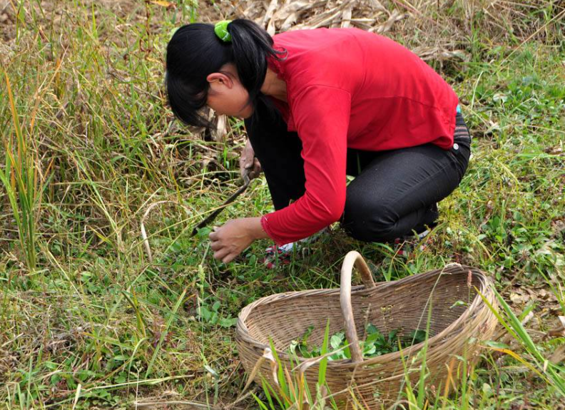 1954年浙江女孩捡到"小瓷船"当嫁妆，专家要求上缴，她如何抉择？