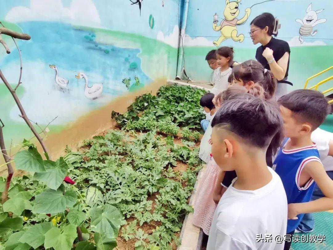 确山县瓦岗镇中心幼儿园：猜谜语摘西瓜 游戏花样多