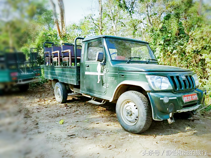 尼泊尔之疯狂吉普车探秘奇特旺国家森林公园