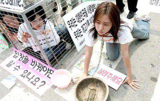 韩国电影《玉子》：骑猪的少女，「爱猪人士」的救援之旅