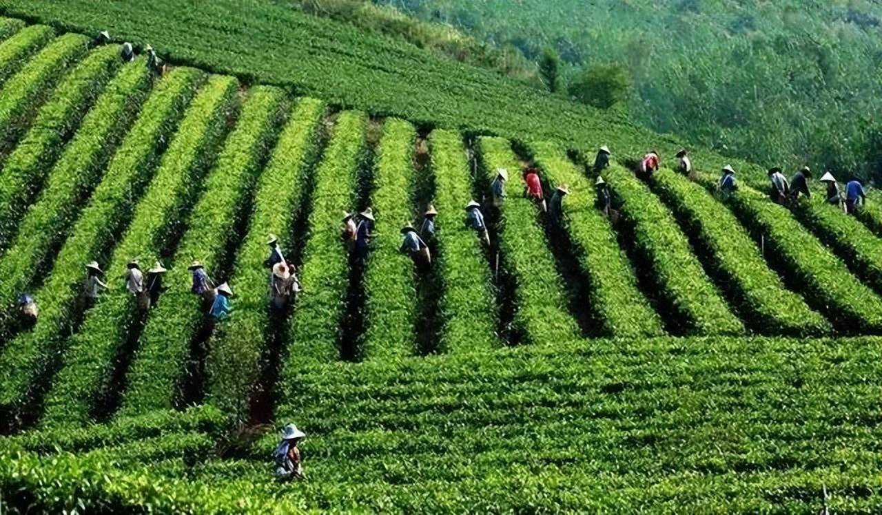 广州出发-清远3天游，打卡宝墩湖水世界+行摄峰林晓镇百亩荷花