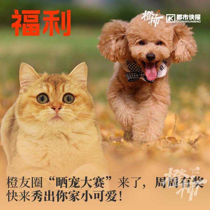 6.24杭州西湖日，灵隐飞来峰、植物园、六和塔文化公园、《最忆是杭州》演出票等你来抢 | 橙柿福利