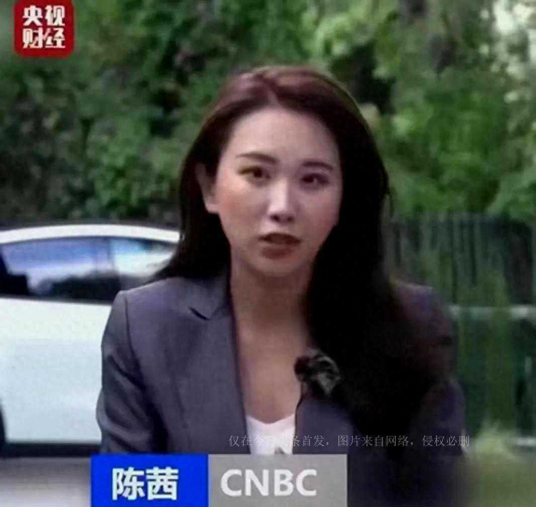 外媒:央视美女记者报道20美元汉堡，惨遭网友指责：抹黑美国