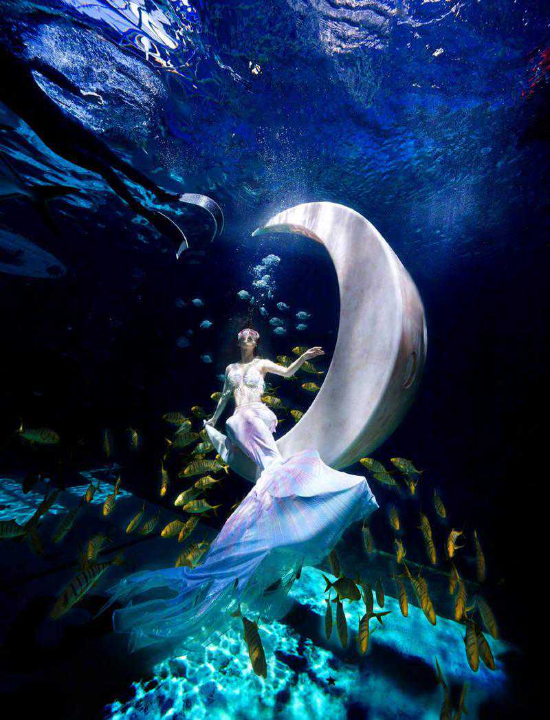 七夕美人鱼装扮 潜水与鱼群玩耍！黄圣依展现仙境般的潜水之旅