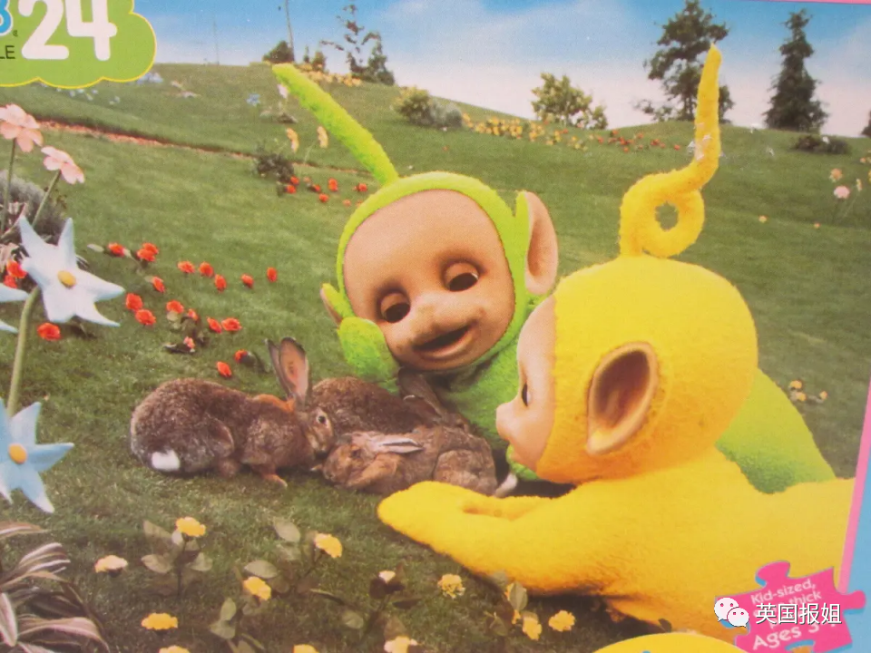 世界上最大的兔子！1米3巨型兔全网爆火，饭量贼大却超级温顺粘人