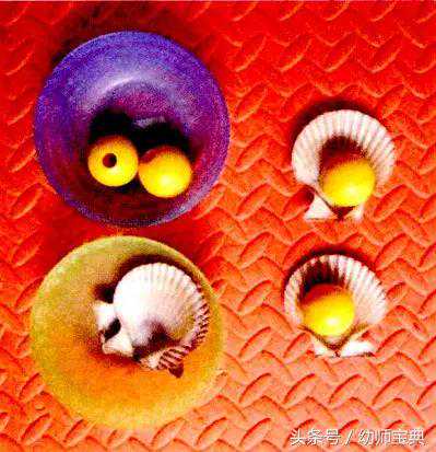 幼儿园区角操作活动——小班生活区