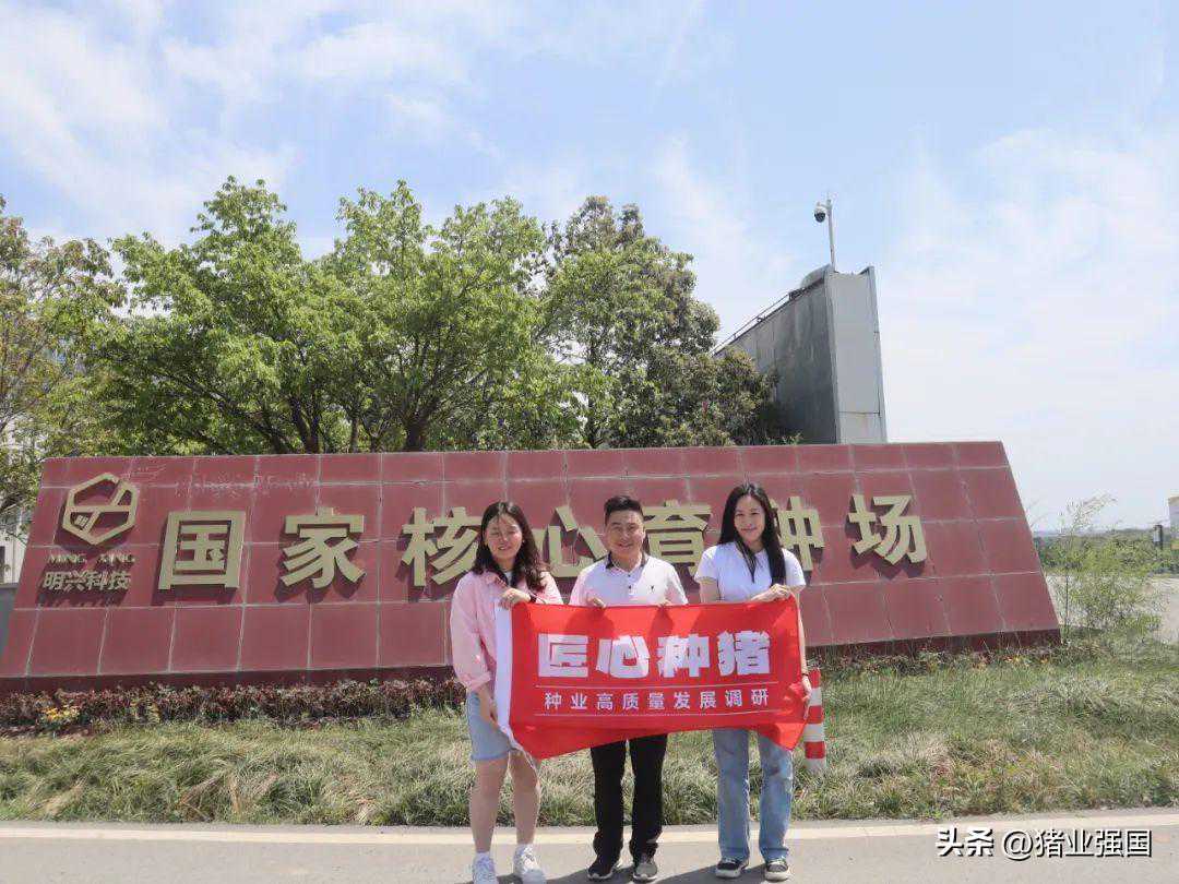 “最严禁令”下，竹鼠及其养殖者何去何从？