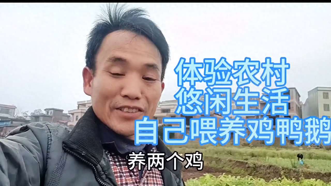 等你老了，就回到农村老家，吃自己喂养大的鸡鸭鹅
