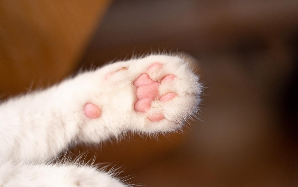 给宝宝选鞋，千万别忽略了这点