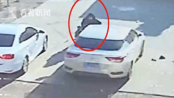 “他不理我”男子坐着轮椅举砖疯狂砸车