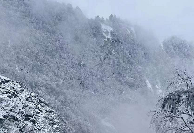 寒假3部必看的动画片，既可以涨知识，还可以锻炼逻辑思维能力