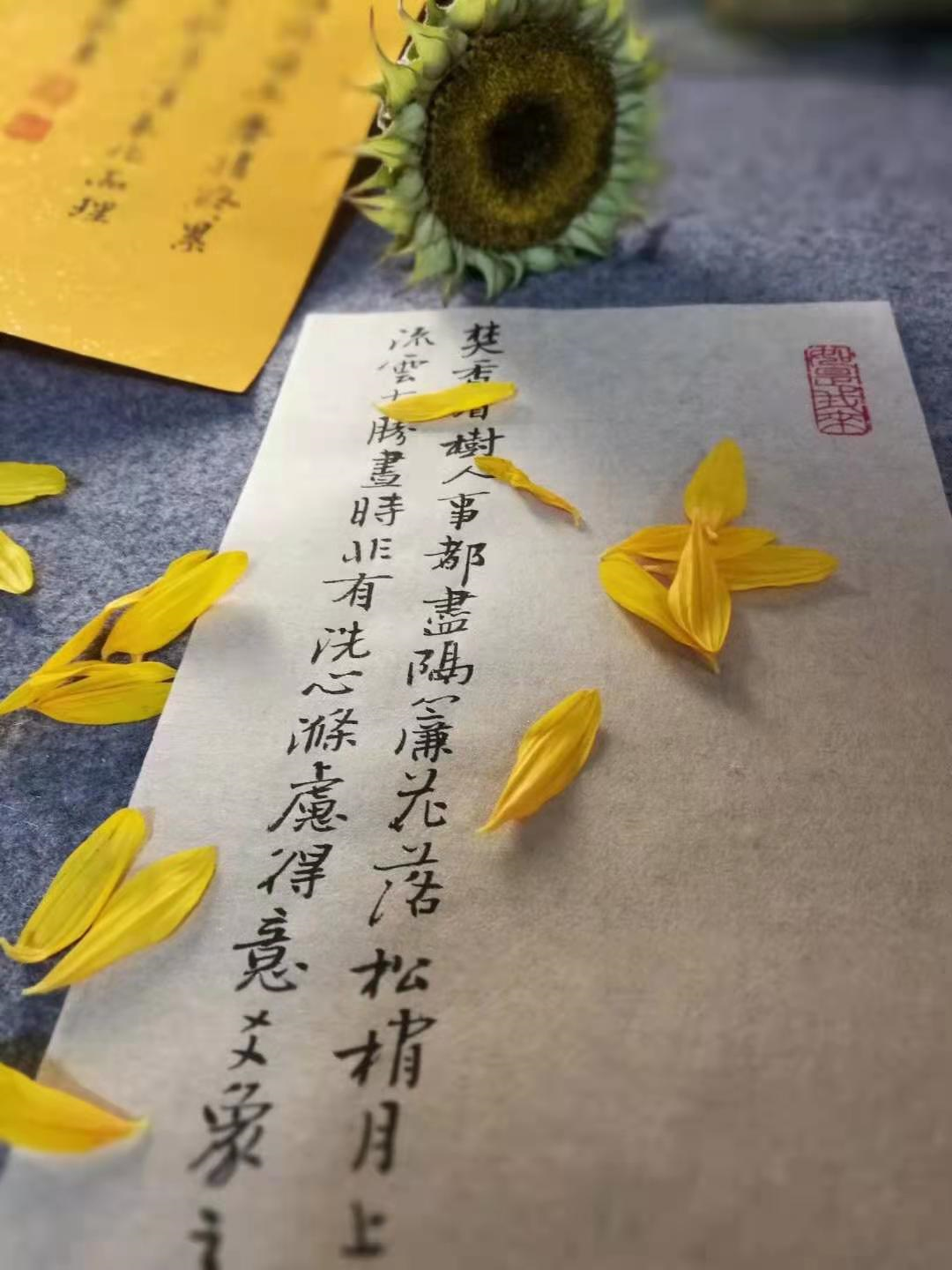 好玩儿的写字，甜蜜痛苦兼有的日常