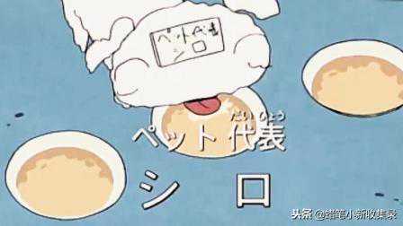 蜡笔小新：野原小白（シロ）的基本资料