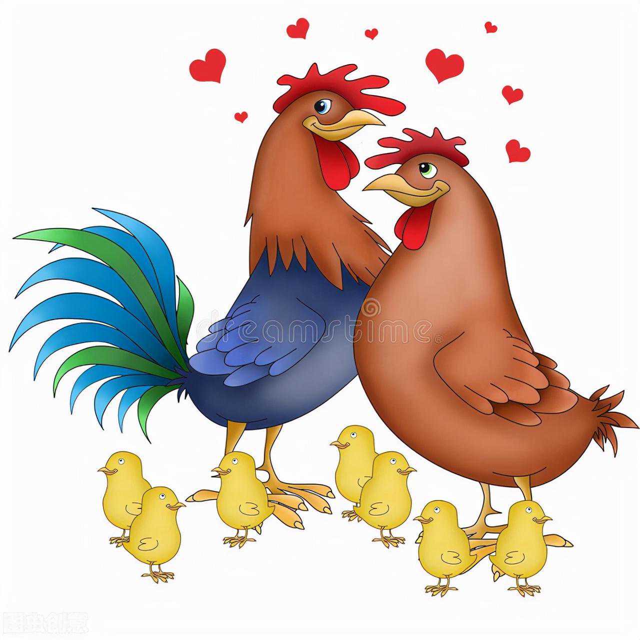 有言有味说单词（六百三十讲）动物雌雄“对对碰”