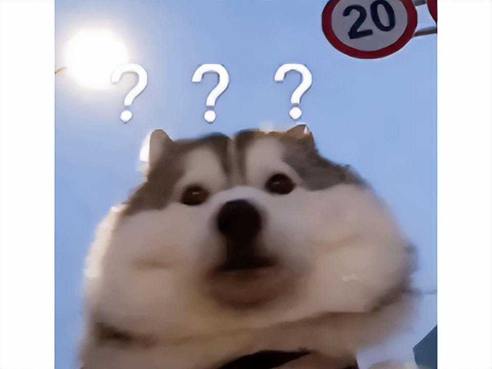 AI涩图也能做游戏？国产二次元手游创造历史，甚至广受玩家好评？