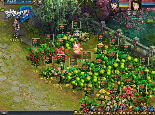 就缺一个极品家丁《梦想世界2》唯美庄园赏析