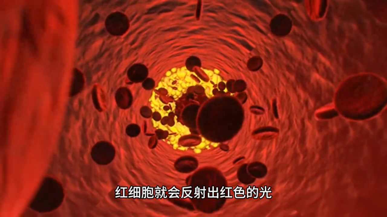 为什么小白兔的眼睛是红色的呢？#百科知识