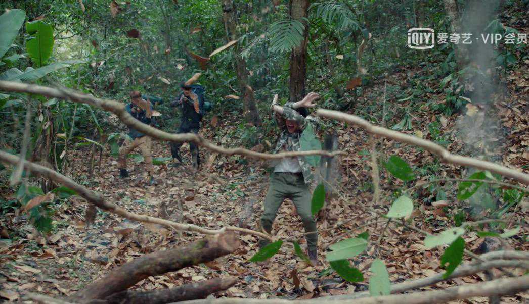 《黄金瞳》丛林大逃亡太不靠谱：苗菲菲没常识，彭飞跟枪有仇？